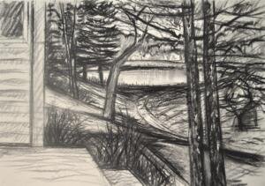 Phyllis's Pond - 2003 - 2003 -30"x40" - charcoal pencil