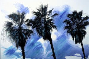 Florida Palmettos   1989  30x40  30x40  W.C.