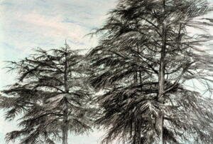 Hemlocks - 1989 - 30_x40_ pastel